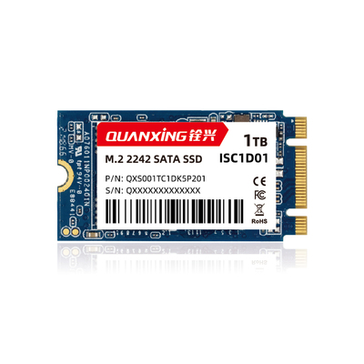 ISC1D01  M.2 2242 SATA UT SSD