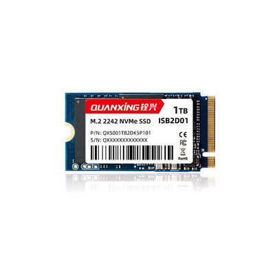 ISB2D01  M.2 2242 NVMe WT SSD