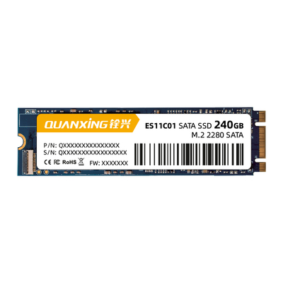 M.2 2280 SATA III SSD DWPD=1 ES11C01