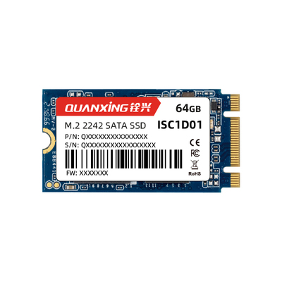M.2 2242 SATA SSD ISC1D01