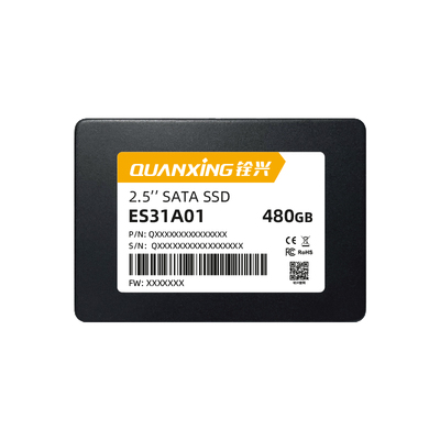 2.5" SATA SSD DWPD=3 ES31A01