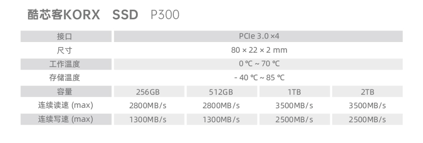 参数_KORX PCIe3 P300.jpg