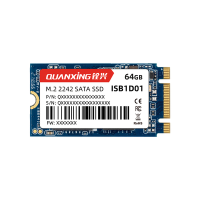 M.2 2242 SATA SSD ISB1D01