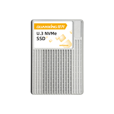 U.3 PCIe 4.0 SSD DWPD=3 ES33H01